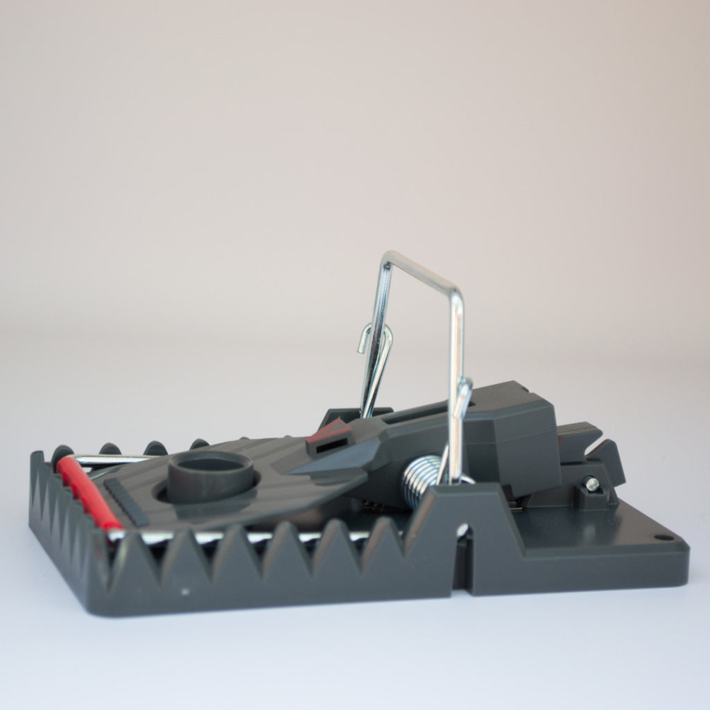 Rattenklem met tanden / 5st